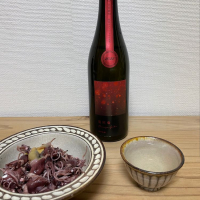 
            総乃寒菊_
            みつ豆さん