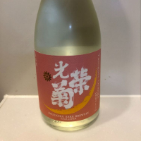 
            光栄菊_
            まめくまさん