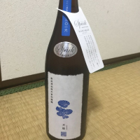 天蛙