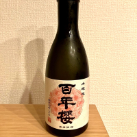 百年櫻