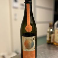 総乃寒菊
