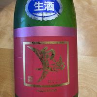 白鴻
