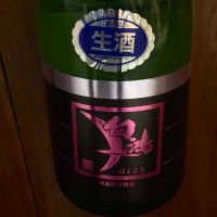 白鴻