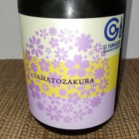 やまと桜