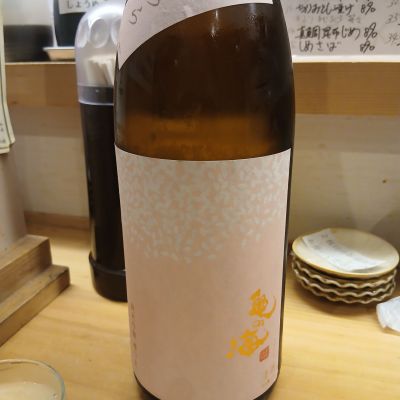 亀の海のレビュー by_左近将監