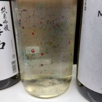 仙禽