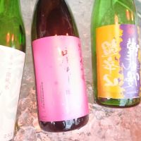 
            瀧自慢_
            左近将監さん