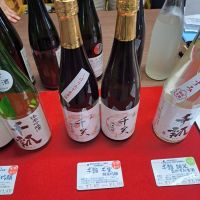 愛知県の酒