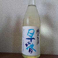 
            早春_
            左近将監さん