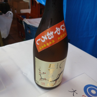 三重の寒梅