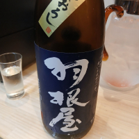 
            羽根屋_
            左近将監さん