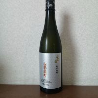 寒紅梅
