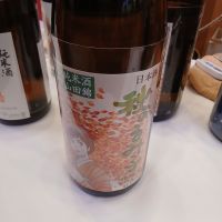 るみ子の酒