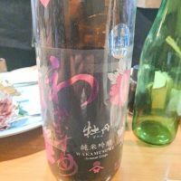 
            和可娘_
            左近将監さん
