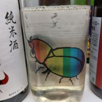 仙禽