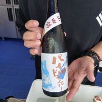 
            小左衛門_
            左近将監さん