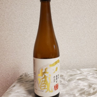 
            一ノ蔵_
            左近将監さん