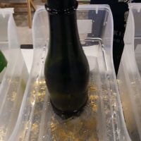 
            金鯱_
            左近将監さん