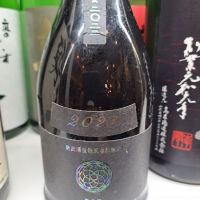 新政