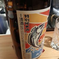 京の春のレビュー by_左近将監