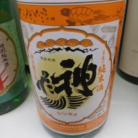 
            神亀_
            左近将監さん