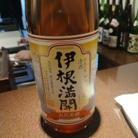 伊根満開