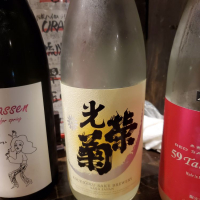 
            光栄菊_
            左近将監さん