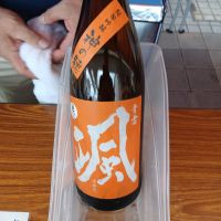 
            颯_
            左近将監さん