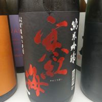 寒紅梅