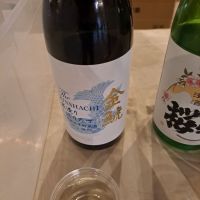 
            金鯱_
            左近将監さん