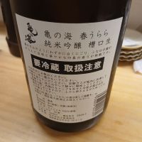 亀の海のレビュー by_左近将監