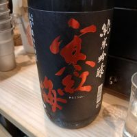 
            寒紅梅_
            左近将監さん