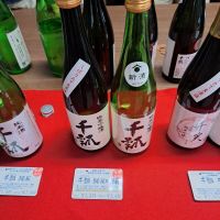 
            千瓢_
            左近将監さん