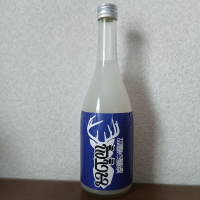 三重の寒梅