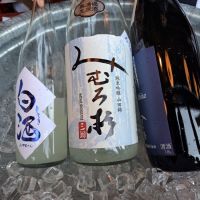 
            みむろ杉_
            左近将監さん