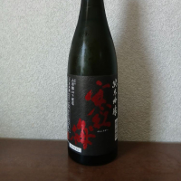 寒紅梅