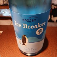 Ice Breaker