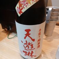 天遊琳