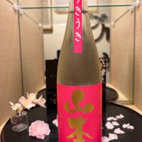 山本のレビュー by_マリア