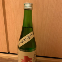 
            南_
            ぴょんきちさん