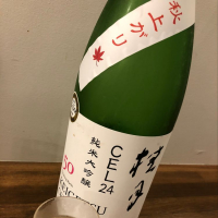 高知県の酒