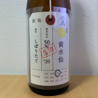 
            荷札酒_
            紙詰まりさん