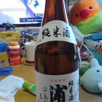 浦霞