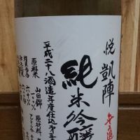 悦凱陣