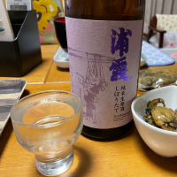 浦霞