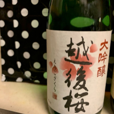 新潟県の酒