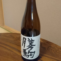 
            勝駒_
            古河さん