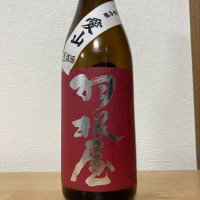 
            羽根屋_
            かつおさん