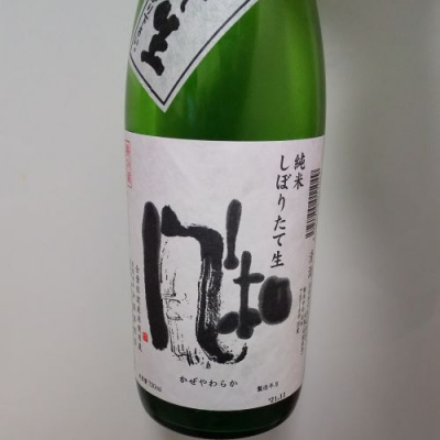 新潟県の酒