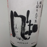 
            金鶴_
            さーちらいとさん